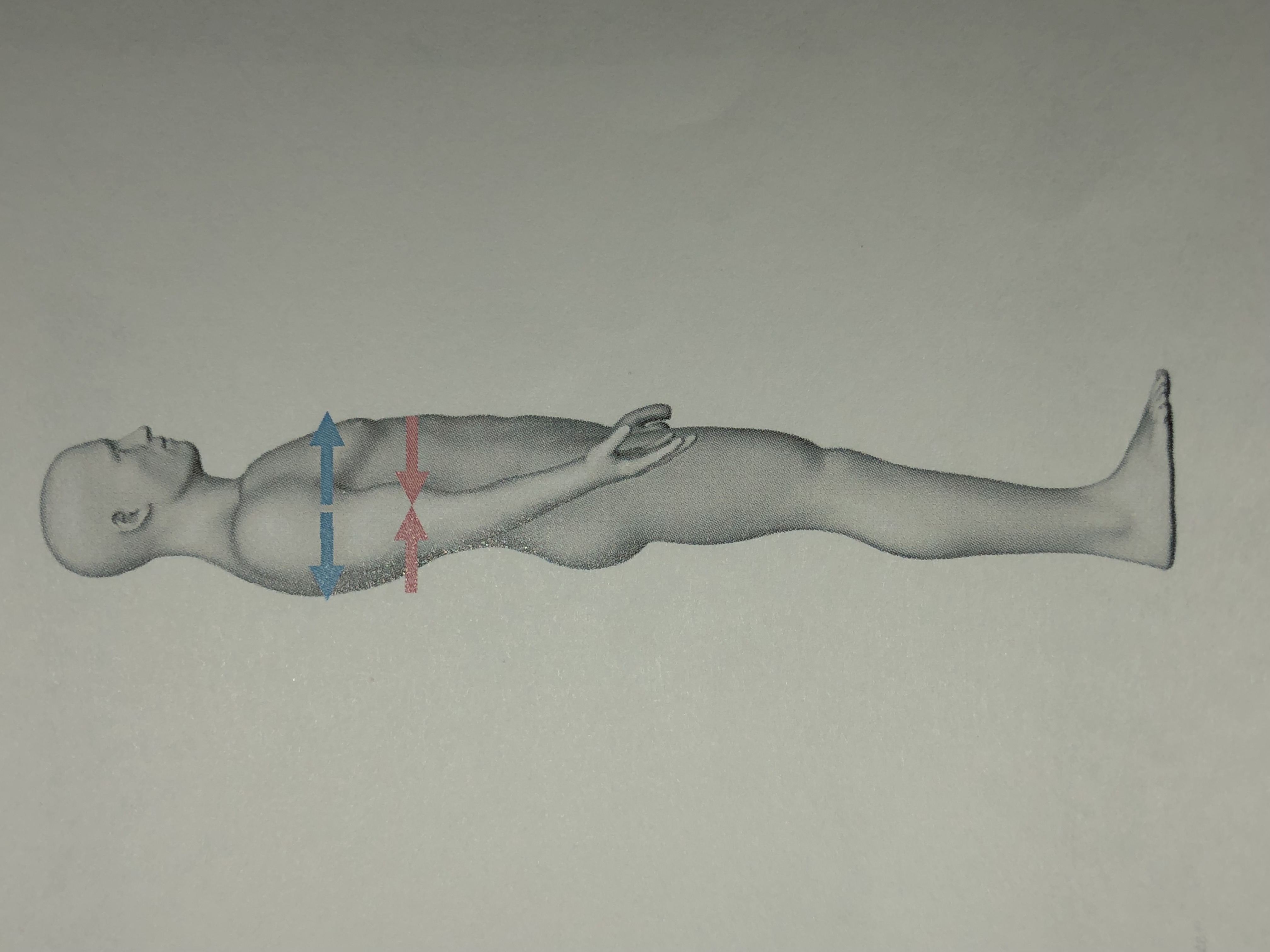 <p>Away from the body surface</p><p>Ex. The heart is ______to the rib cage</p>