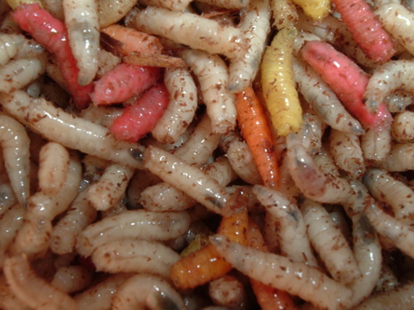 <p>how disgusting</p>
