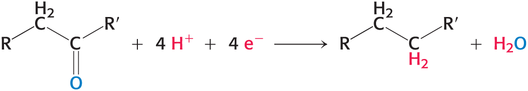 <p>Activated carrier of electrons for reductive biosynthesis </p><ul><li><p>in most biosynthesis, precursors are more oxidized than the products </p><ul><li><p>ATP and reducing power are needed </p></li><li><p>Example: four electrons are needed to reduce a keto group to a methylene group </p></li></ul></li><li><p>__ is the electron donor in most reductive biosyntheses</p></li></ul><p></p>
