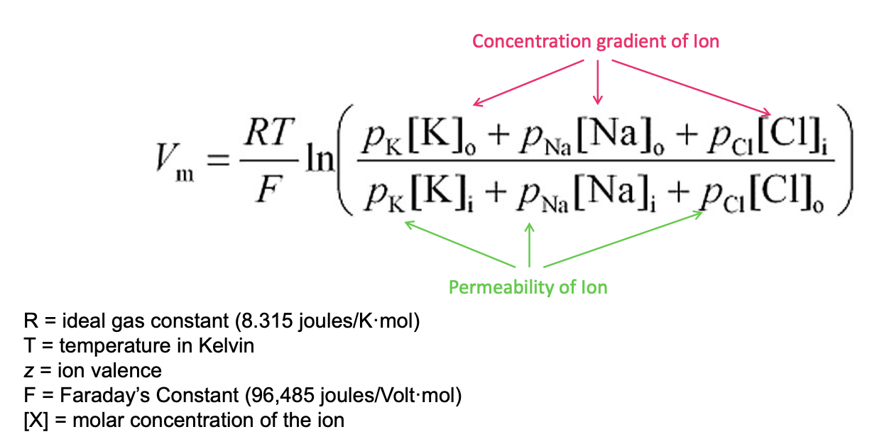 <p>Goldman equation </p>