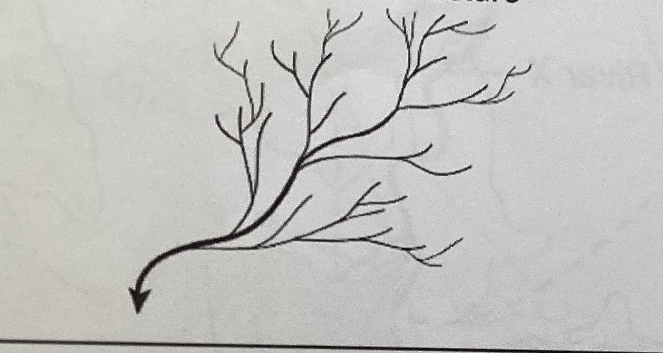 <p></p>