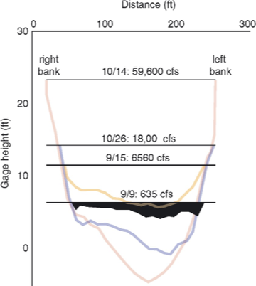 <p>A channel’s at-a-station hydraulic geometry describes how its width (W), depth (D), and velocity (U) vary as discharge (Q) rises and falls at a particular location or channel cross section over the course of many different flow events</p>