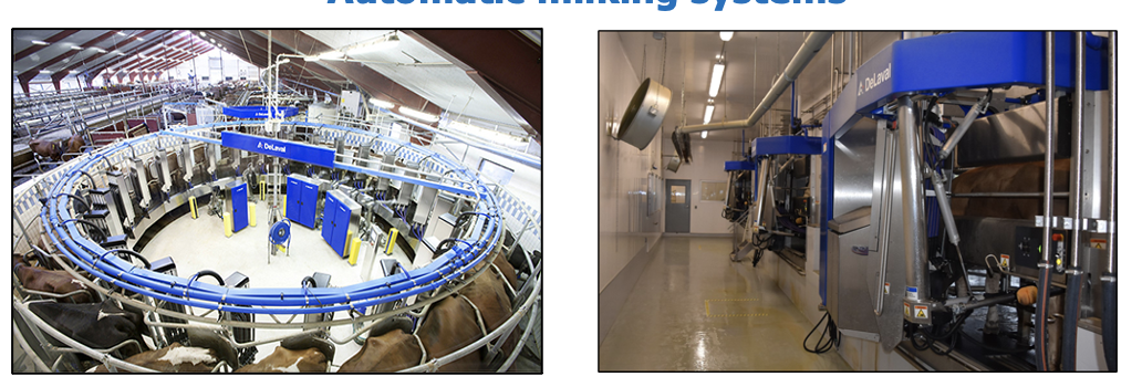 <p>Robotic-rotary sys:</p><ul><li><p>milk groups of cows, much like conventional farm</p></li><li><p>enables to milk more cows per hour</p></li><li><p>more $$$ than box</p></li></ul><p>Robotic box-milking sys:</p><ul><li><p>well-suited to individual cow mngmnt and cow care</p><ul><li><p>precision feeding → can add feed to diets given in there</p></li></ul></li><li><p>might need additional infrastructure (new buildings, etc)</p></li></ul>