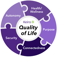 <p>Quality of Life </p>