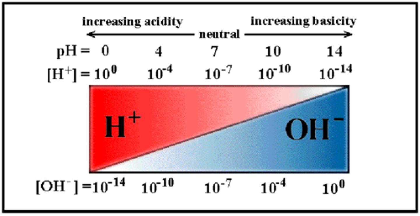 <p>Is the point 14 on pH scale an acidic, basic, or neutral solution?</p>