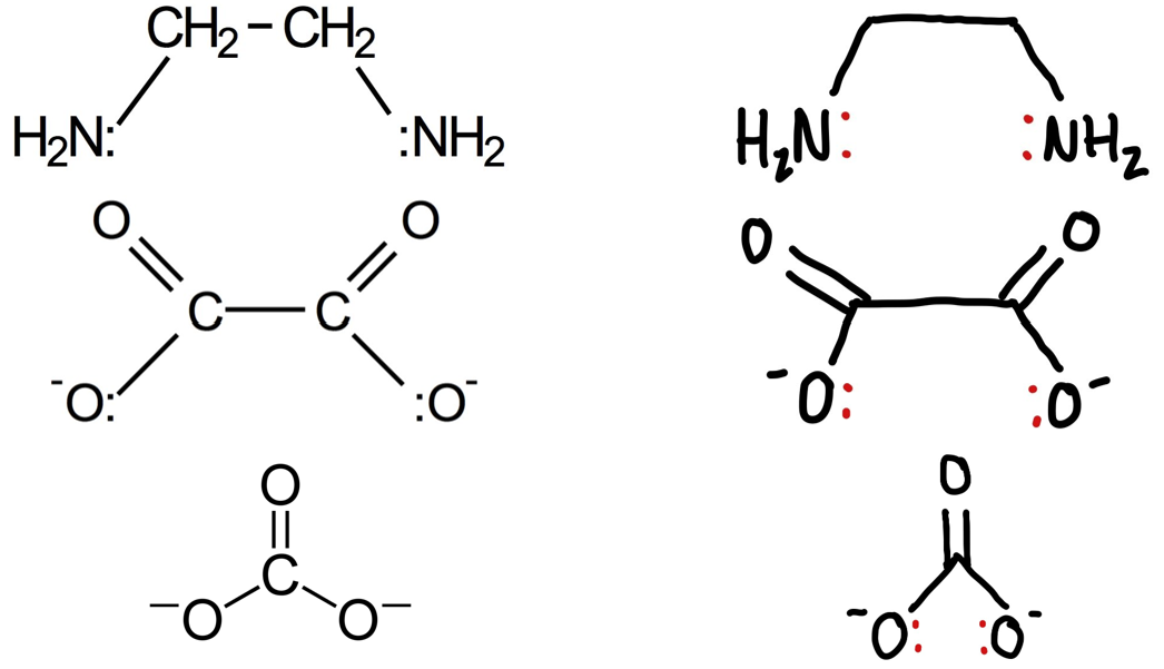 <p>Give 3 examples of a bidentate ligand?</p>