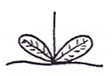<p>Arrangement of leaf?</p>