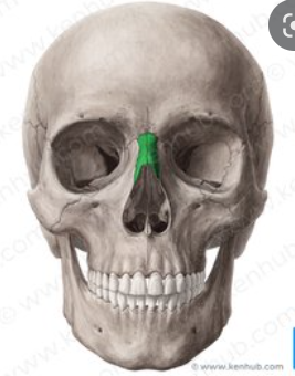Bone making up part of the nose