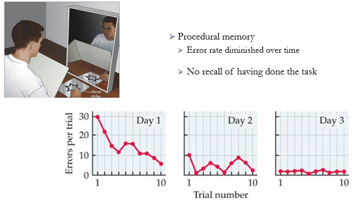 <p>done on HM to see if he could make new procedural memories</p><p>he has to trace the image of a star by looking at his hand in a mirror, not at it directly (essentially a visuomotor transformation)</p><p>he did pretty poorly on day 1 but got better and maintained this improved performance across a number of days → couldn’t even remember doing the test but was performing it well</p><p>could also show implicit learning like with a stem word completion but not with free recall</p>