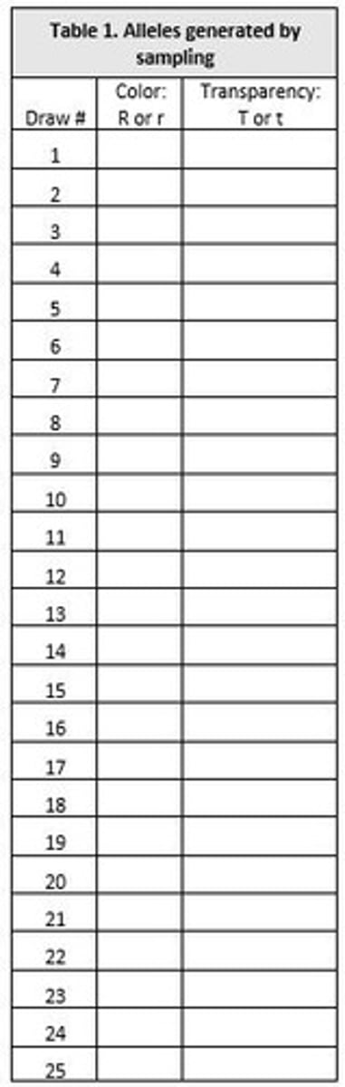 <p>The proportion of alleles in a population, which always adds up to 1.</p>