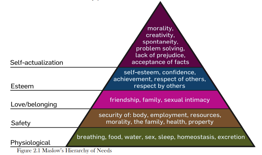 <ol><li><p>self-actualization</p></li><li><p>esteem</p></li><li><p>love/belonging</p></li><li><p>safety</p></li><li><p>physiological</p></li></ol>