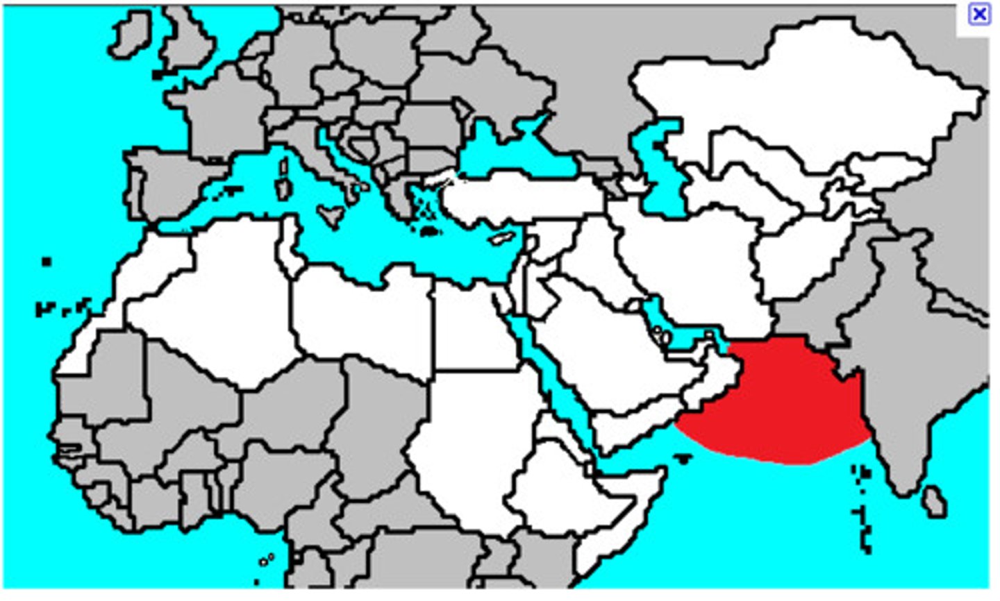 <p>A body of water located between the Arabian Peninsula and the Indian subcontinent.</p>