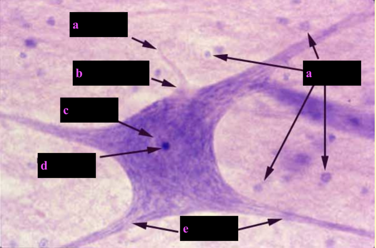 <p>e</p>