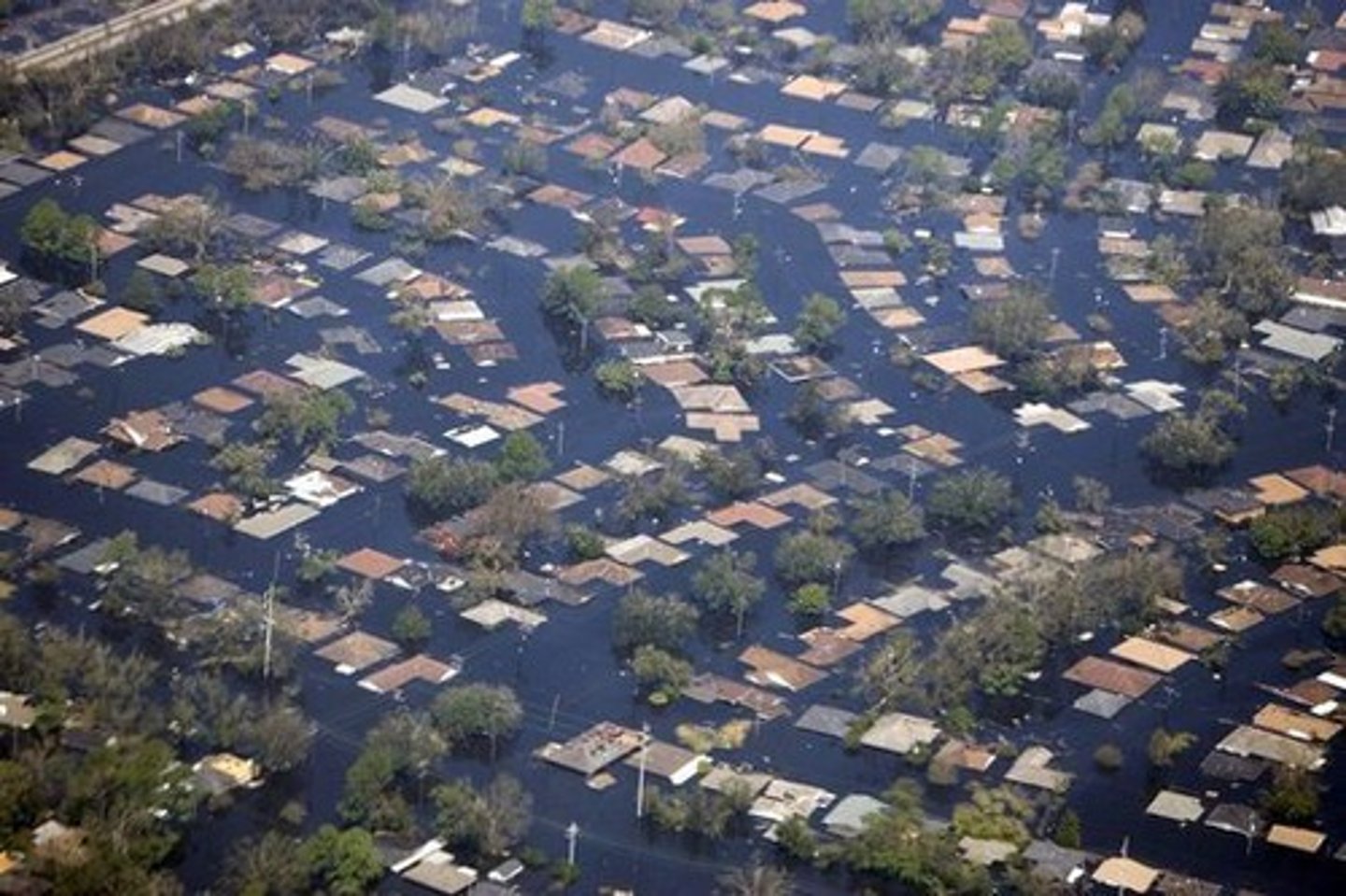 <p>*Counter-clockwise</p><p>Devastating to New Orleans?</p><p>The city is on very high flat ground, therefore exposed to high sea; passive margin (no tectonics, broad shelf)</p><p>*Is on a delta; Mississippi river below sea level- sea level rising, city sinking (by 4 - 5 meters)</p>