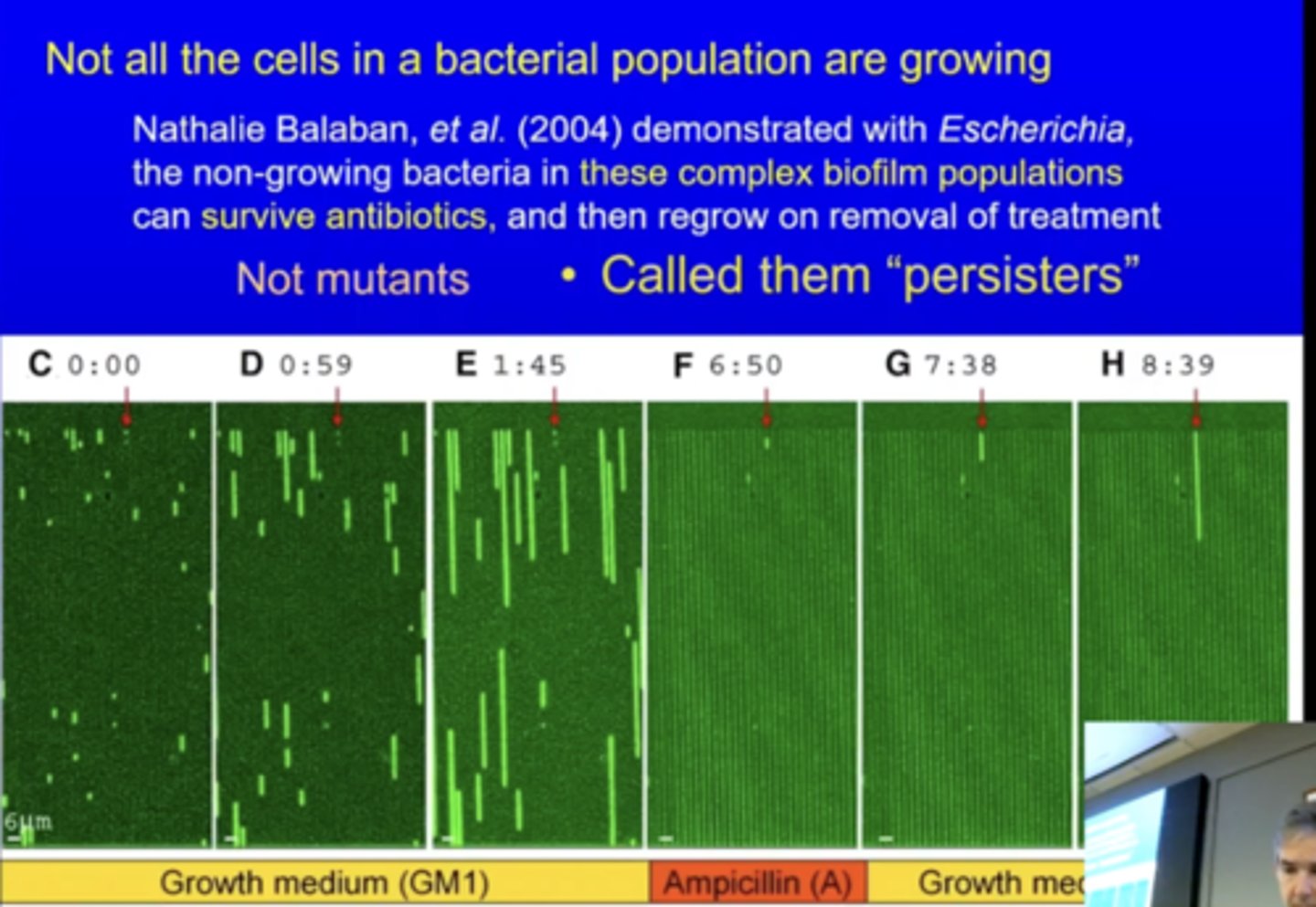 <p>mutated bacteria have a specific gene that allows them to resist abx while resisters are dormant or slow growing bacteria that can survive abx without having specific genes</p>