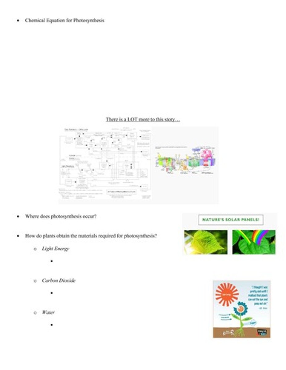 <p>Water + Carbon Dioxide + Light Energy → Glucose + Oxygen.</p>