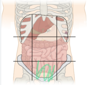 <p>what is the region shaded called?</p>