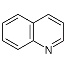 <p>identify the image</p>