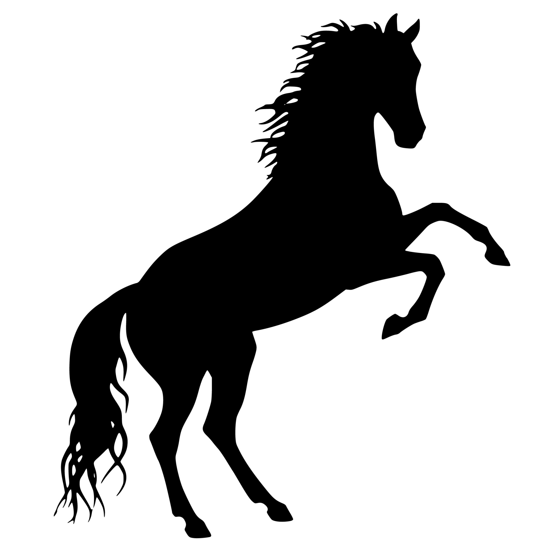 <p>horse</p>