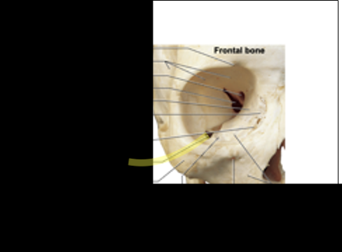 <p>What is the structure?</p>