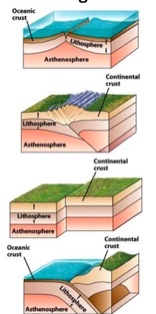 <p>What is the third picture?</p>