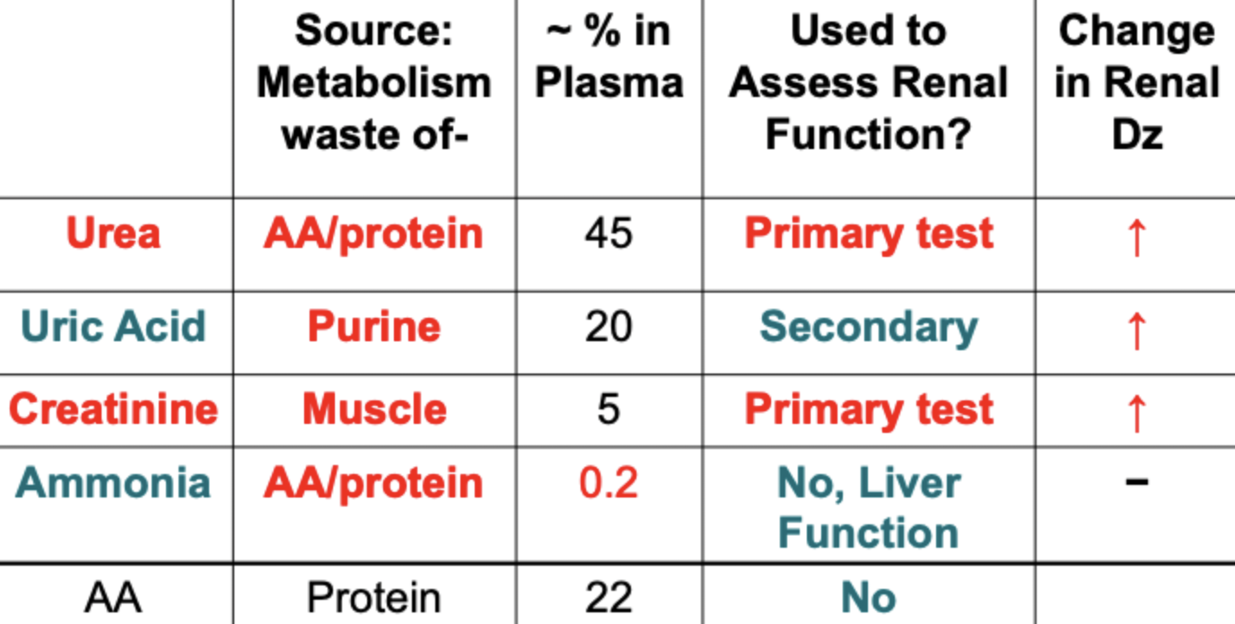 <p>catabolic products = wastes. clinically significant when increased. ex: urea, creatine, uric acid, ammonia</p>