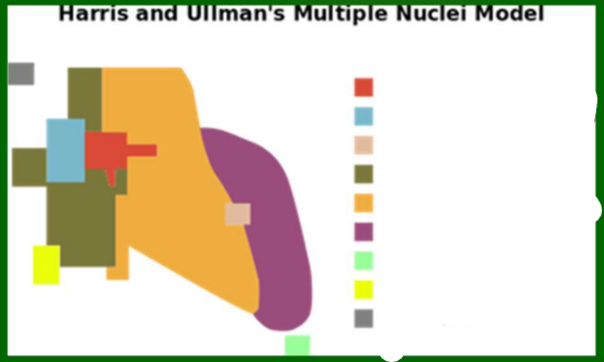 <p>Multiple Nuclei model</p>