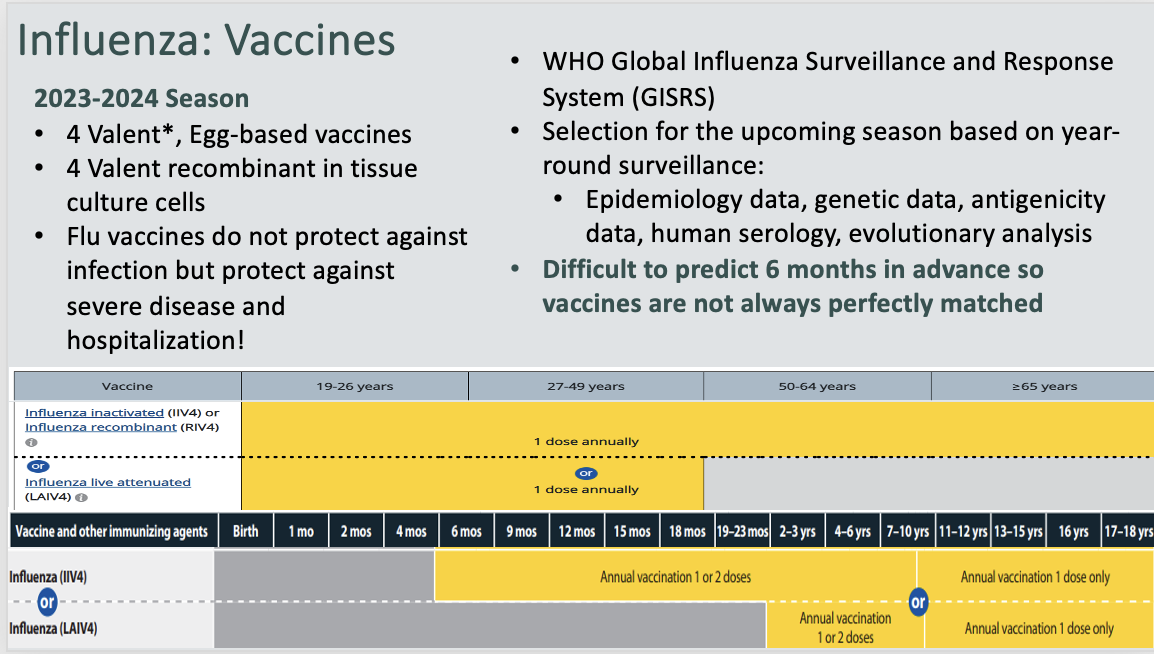 <ul><li><p><mark data-color="blue">Attributes:</mark></p><ul><li><p>(-) ss  RNA virus, enveloped</p></li><li><p>Animal reservoirs:  humans, birds, pigs, whales, more</p></li><li><p>Flu A: animals, subtypes</p></li><li><p>Flu B: less widespread (humans)</p></li><li><p>Flu C: rare (humans)</p></li><li><p>Transmission:</p><ul><li><p>respiratory secretions and droplets</p><p>Survives 24-48 hours on hard surfaces but generally 4-9 hours</p><p>less on non-porous surfaces</p></li></ul></li><li><p><strong><span>Virus Specificity: </span></strong><span>sialic acids of different species have different internal linkages; HA subtypes are specific for particular sialic acids</span></p></li><li><p><span>Uses RDRP</span></p></li><li><p><strong><span>Glycoprotein Spikes</span></strong></p><ul><li><p><strong><span>Hemagglutinin(HA)</span></strong><span> : attach to sialic acid</span></p><p><span>•18 antigenic forms</span></p></li><li><p><strong><span>Neuraminidase(NA)</span></strong><span>: release/budding by cleaving sialic acid</span></p><p><span>•11 antigenic forms</span></p></li></ul></li></ul></li><li><p><mark data-color="red">Pathogenesis:</mark></p></li><li><p><mark data-color="yellow">Clinical Presentation:</mark></p><ul><li><p>Mild and self limiting with flu-like symptoms that can mimic meningitis</p></li></ul></li><li><p><mark data-color="purple">Presentation:</mark></p></li><li><p><mark data-color="green">Diagnosis/Treatment: </mark></p><ul><li><p>Zofluza inhibits the RDRP</p></li><li><p><span>Rapivab, Relenza, Tamiflu, Permivir, Zanamivir, Oseltamivir —&gt; Block release of virus via neuraminidase </span></p></li></ul></li></ul>