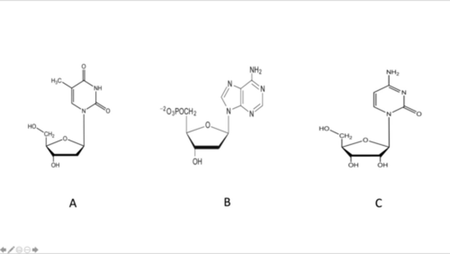 <p>Match the label corresponding to an image of a nucleotide or nucleoside</p>