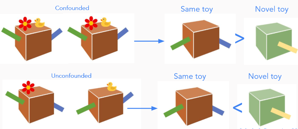 <p>Confounded = unclear which lever cause effect (ambiguity)</p><p>Unconfounded = clear which level cause effect</p><p></p><ul><li><p>presented play choice of same toy or new toy</p></li></ul><p></p><p><span style="color: green;"><strong>Ambiguity in causal system motivated children to explore</strong></span></p><p></p>