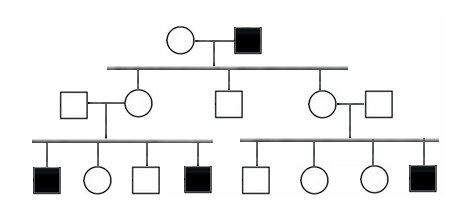 <p><span>In the following pedigree, the indicated trait most likely is caused by which type of allele?</span></p><p>Y-linked</p><p></p><p>&nbsp;</p><p>X-linked dominant</p><p>&nbsp;</p><p>X-linked recessive</p><p>&nbsp;</p><p>autosomal dominant</p><p>&nbsp;</p><p>autosomal disease</p>