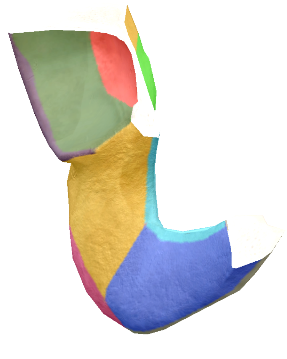 term image