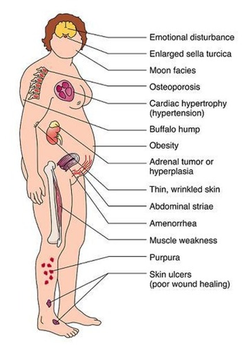 <p>Weight gain, hypertension, and increased blood sugar levels.</p>