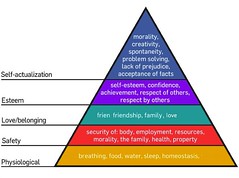 <p>Maslow&apos;s pyramid of human needs; must satisfy levels below before reaching to next; can go up and down pyramid stages</p>