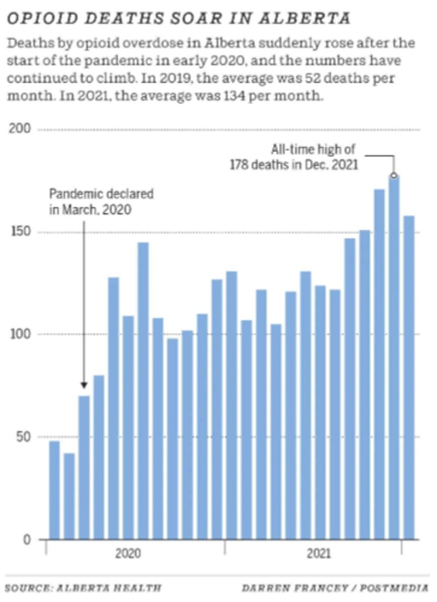 <p>- opioid downer</p><p>- extremely high potency !!! (more potent than any other drug)</p><p>- kills more people than any other opioid, d/t easy OD => 1 salt crystal = OD (measured to the millionth of a gram)</p><p>- risk of death or vegetative state of even a laced drug has it</p><p>- laced into other drugs (cheap!) (may be laced into both downers or uppers)</p><p>- routes: PO, snorted, IV, SL (blotter paper), patch</p>
