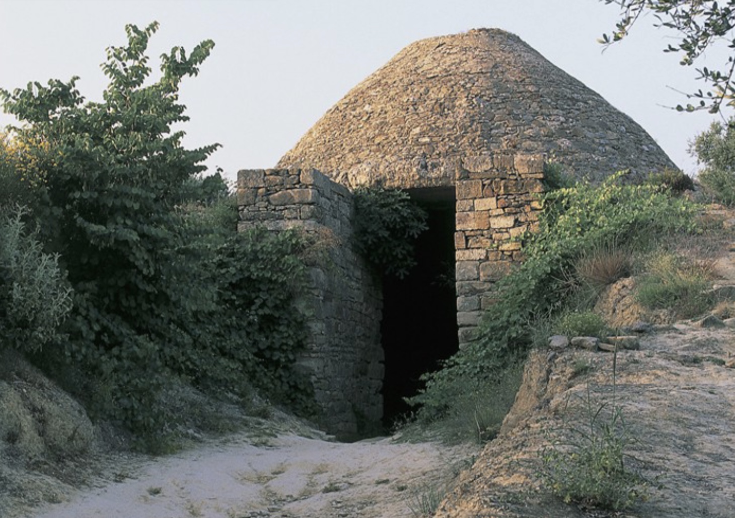 term image