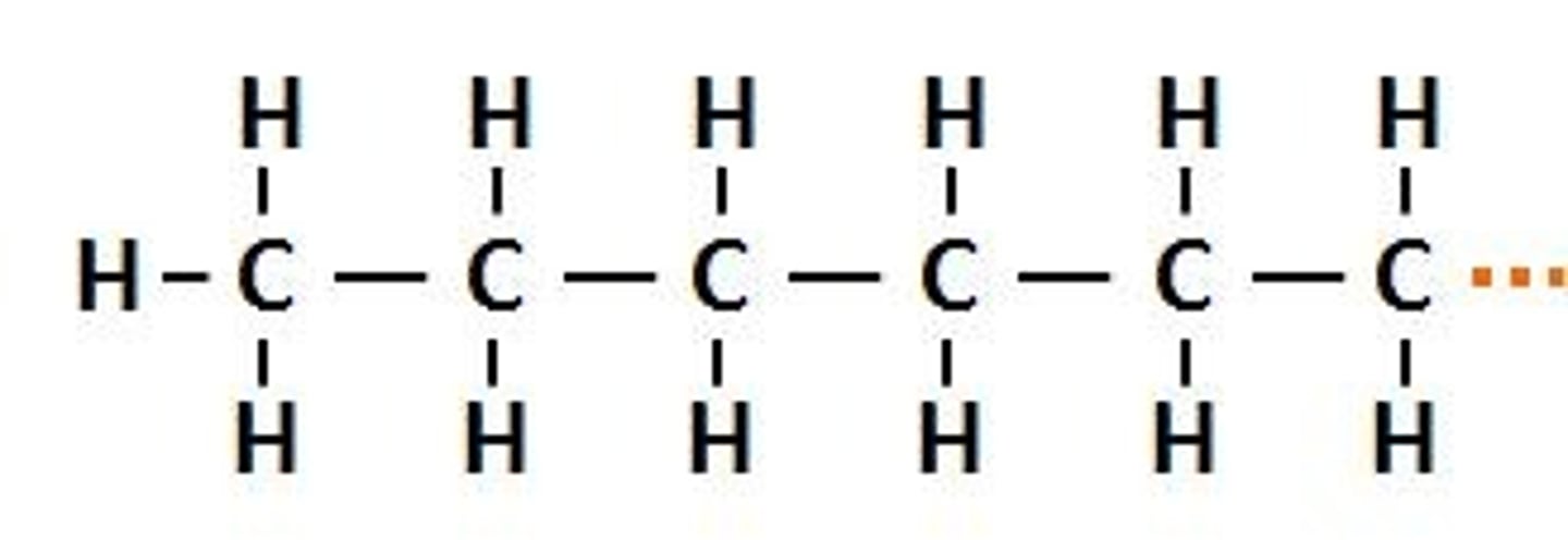 <p>alkyl group made up of 6 carbons</p><p>Hex-</p>