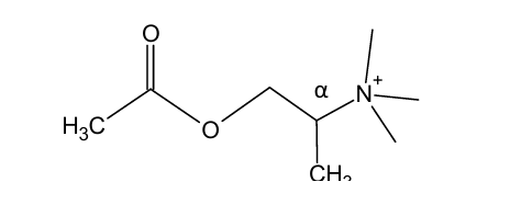 <p>would this structure be more selective for muscarinic or nicotinic receptors?</p>