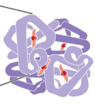 <p>what is this </p>