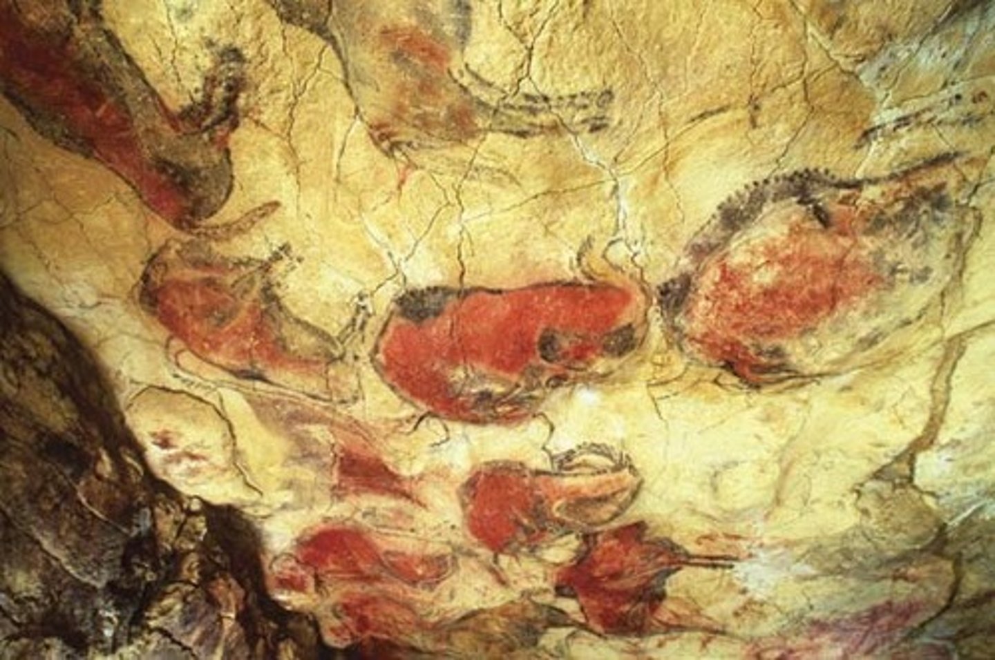 <p>an earthy pigment containing ferric oxide, typically with clay, varying from light yellow to brown or red.</p>