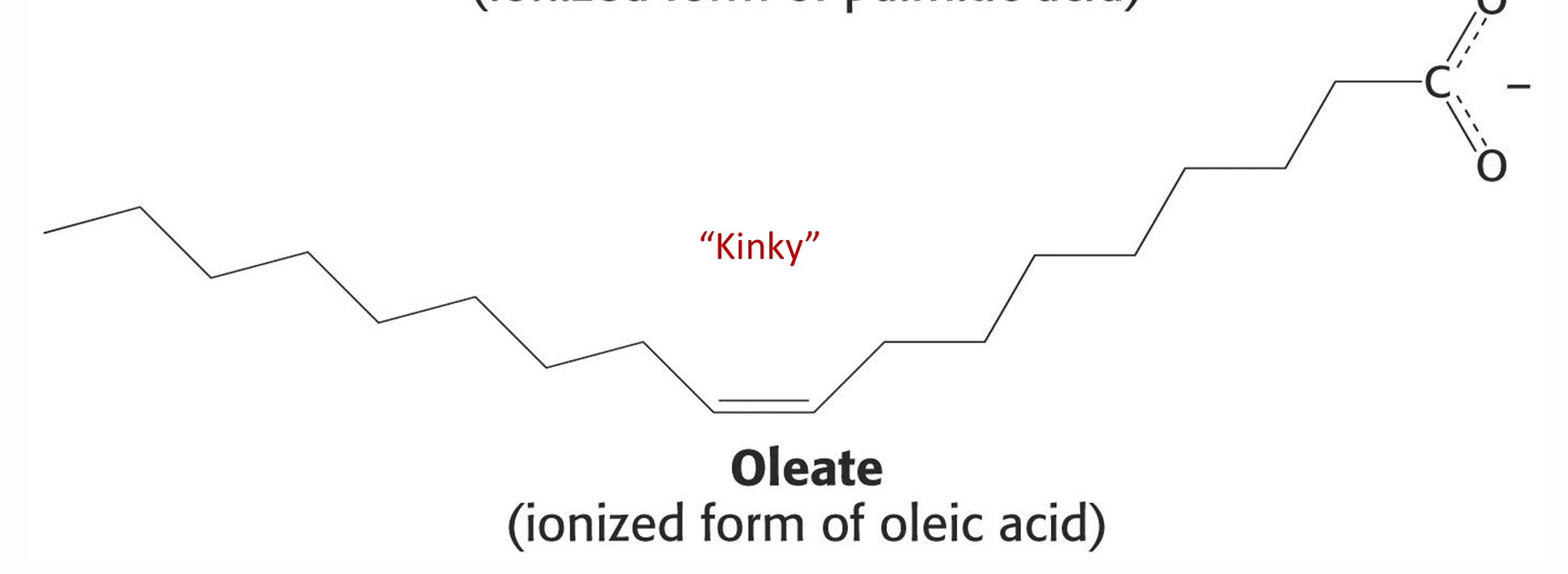 <p>is this lipid saturated or unsaturated and why</p>