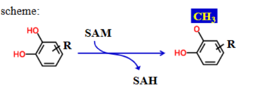 <p>COMT or POMT?</p>
