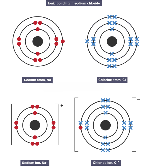 <p>electrostatic attraction between oppositely charged ions, metal and non-metals</p>
