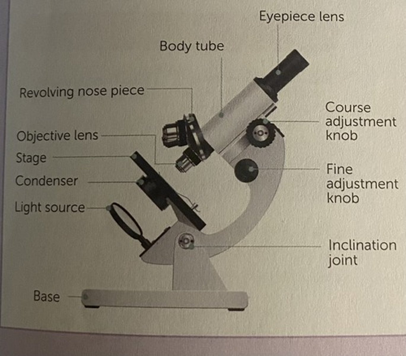 <p>- light microscope</p>
