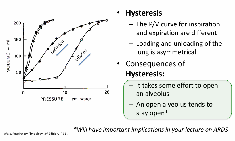 <p>-hysteresis</p>
