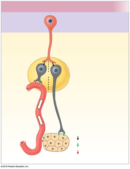 <p>Which division is the shown photo?</p>