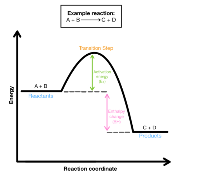 <ul><li><p><span>Exothermic reactions <strong><u>release</u></strong> energy/heat to surroundings</span></p><ul><li><p><span>Surroundings get <strong><u>warmer</u></strong> (feels hot to you)</span></p></li><li><p><span><strong>ΔH &lt; 0&nbsp; (<u>negative</u>)</strong></span></p></li></ul></li><li><p><span>Products <strong>are more stable</strong> than reactants</span></p></li><li><p><span><strong>Bonds made are more stable</strong> than bonds broken</span></p></li><li><p><span><strong>Products have less energy</strong> than reactants</span></p><ul><li><p><span>CH<sub>4</sub>&nbsp; +&nbsp; 2O<sub>2 (g) </sub>&nbsp;🡪&nbsp; CO<sub>2 (g)</sub>&nbsp; +&nbsp; 2H<sub>2</sub>O <sub>(l)</sub> + <strong>energy</strong></span></p></li></ul></li></ul><p><br></p>