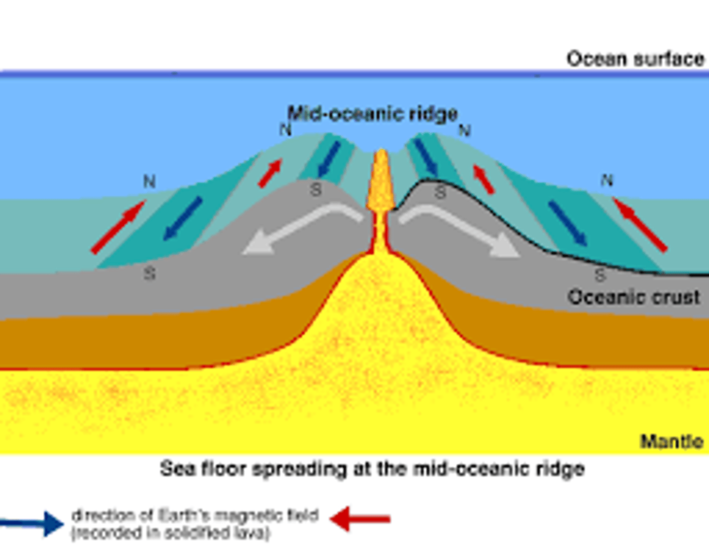 <p>- Process that creates new oceanic crust (from magma rising upwards) at mid ocean ridges as the plates are diverging apart.</p><p>- As the earths magnetic field changes polarity, (and therefore alignment of magnetic materials in rock) bands of rock are created</p>