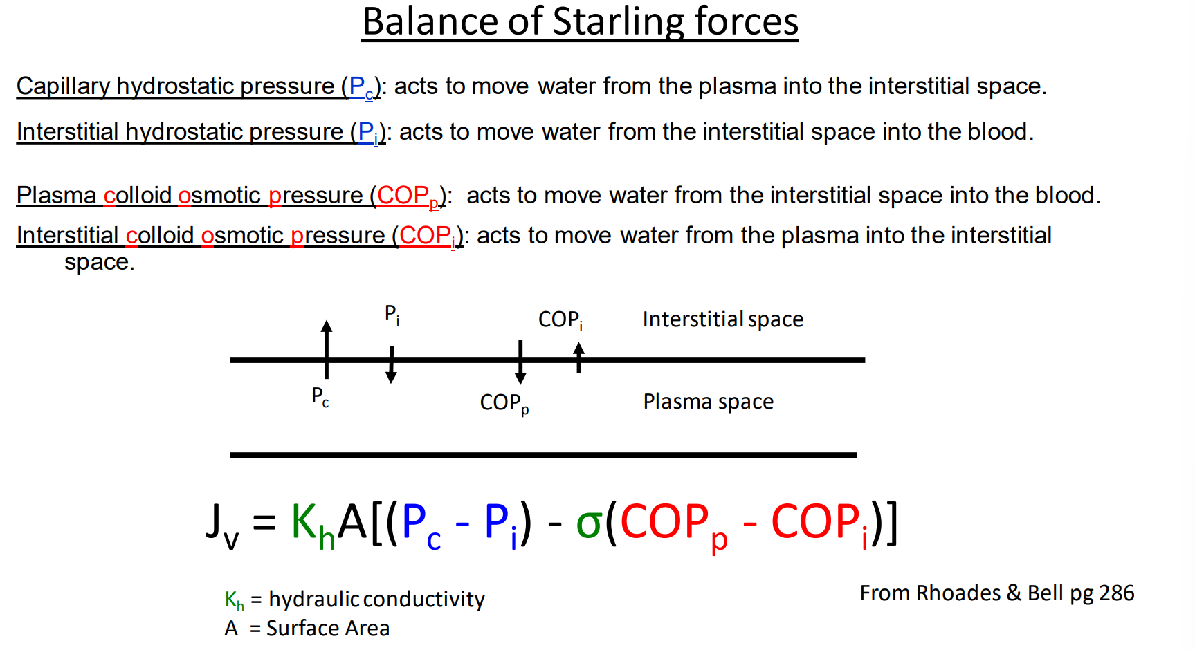 <p>Referring to slide 11 - hereis a summary of how the starling forces are balanced:</p>