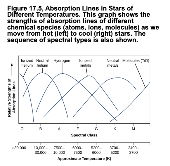 <p>classification of stars according to their <strong>temp</strong> using characteristics of their spectra</p><p><strong>Most stars have different spectra than the sun.</strong> The most important difference is temp and the second most important is elemental abundances. </p><p>From hottest to coldest: O, B, A, F, G, K, &amp; M (Oh Be A Fine Girl, Kiss Me)</p><p>L, T, &amp; Y added later</p><p>(order of letters reclassified by Annie Cannon)</p>